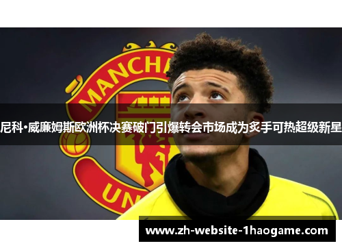 尼科·威廉姆斯欧洲杯决赛破门引爆转会市场成为炙手可热超级新星