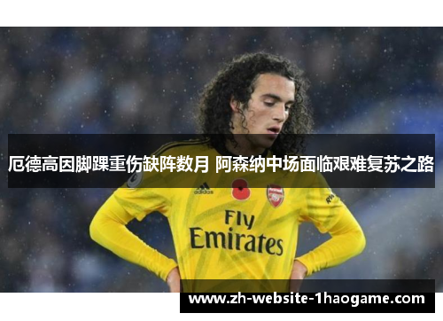 厄德高因脚踝重伤缺阵数月 阿森纳中场面临艰难复苏之路 厄德高因脚踝重伤缺阵数月 阿森纳中场面临艰难复苏之路